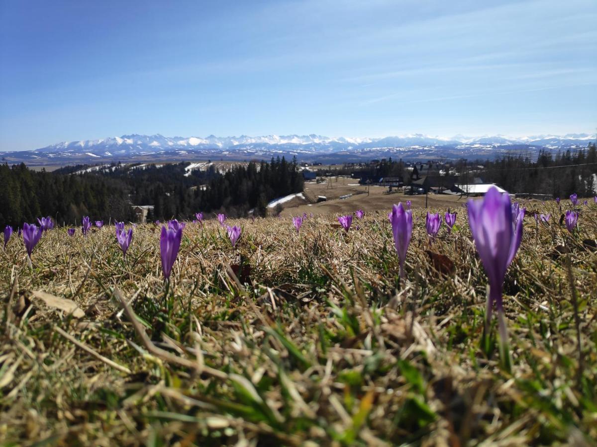 Przystanek Gorce Villa Nowy Targ Luaran gambar