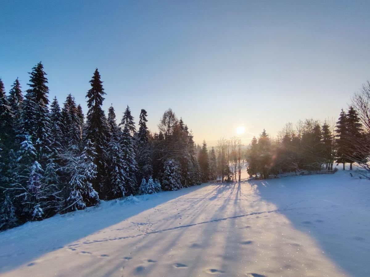 Przystanek Gorce Villa Nowy Targ Luaran gambar