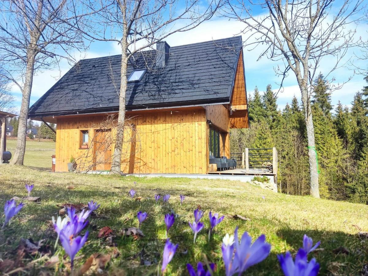 Przystanek Gorce Villa Nowy Targ Luaran gambar